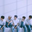 미디어 윌(Will)