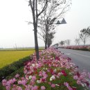 가을코스 이미지