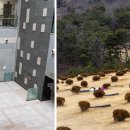 톳고개로 이미지