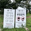 신원동 울타리작은도서관 | 제주 여행지 추천 아침미소목장 후기