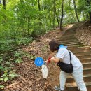 팔각정 공원 이미지