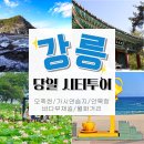 itx마음 청량리 노선도 좌석 추천 예매방법 콘센트 화장실 위치 정보 총 정리