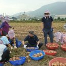 논공농업협동조합 이미지