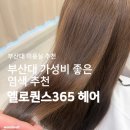 엘로퀀스365 | 부산대 미용실 추천 | <엘로퀀스365헤어>에서 전체염색 솔직후기