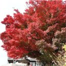 곡성-081 이미지