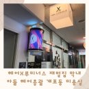 헤어X루미너스