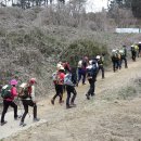 2016년, 군산시장기 등산대회 공고 이미지