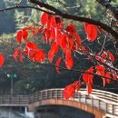 산사가는길 이미지