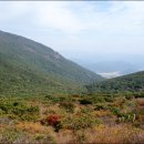 나의목장 이미지