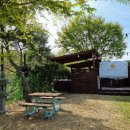 밸런스독 이미지