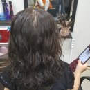 리 (Lee) 헤어 이미지