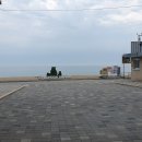 연곡해변 솔향기캠핑장 티스토리