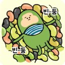 단콩
