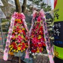 호호만두(풍암점) 이미지
