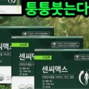 압구정퀸약국
