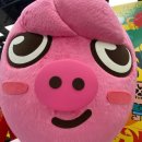 스테이 사녹 이미지