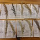 한국토종씨앗박물관 이미지