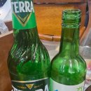 서울감자탕 서현지점 | 서현역 감자탕 푸짐하고 맛이 좋은 서울감자탕