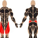 바디피티 이미지