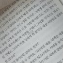 다현인터내셔널 | [2025.07.上] 백조가 되지 않더라도 나는 이 오리를 영원히 사랑할 것이다.