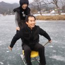술레잡기 Daum카페