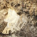 칠포1리 이미지