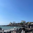 수원시 팔달구 중부대로207번길 | [제주 여행][제주 여행 코스] 1일차