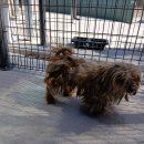 경북청과상회 이미지