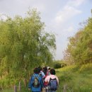 나무고아원 이미지