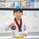 국가대표 퍼스트 태권도 이미지