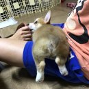 희동이의 하루 이미지