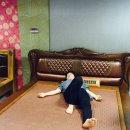 [수목토 일라이트]일라이트 침대, 일라이트를 아시나용??