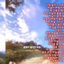 나랑놀자