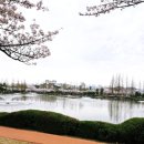 연지공원1 | 내외동 카페 카페올라 김해연지공원 카페 연지공원 브런치 다녀온 후기