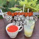 마장화목 | 파주 마장호수 인근 카페 오랑주리 애견동반 가능한 양주 식물원 카페
