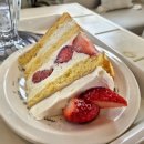 티나케이크(tinacake) | [제주도] 제주도 디저트 케이크 맛집 티나케이크 내돈내산 후기 / 제주도 카페 추천