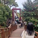 동백사거리 공영주차장 | 부산 해운대 동백섬에 동백꽃 구경가요 🌸 (아직 개화 전 상태)