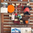 주식회사 펫프로젝트 이미지