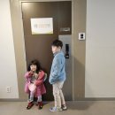 (위례) 토닥토닥마음 에서 아동 기질검사 받고온 후기