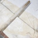 은척시장 | [상주] 상주중앙시장 촌빨떡볶이 본점 쌀떡볶이 후기