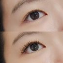 하이네일래쉬 | 마두속눈썹 에그래쉬앤네일 실크플랫모 C컬 혼합 후기