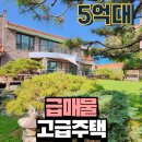 올공인중개사사무소 | 청주 봉명동 급매 고급 단독주택 – 1억4천 인하! 도심 속 정원 있는 프리미엄 하우스