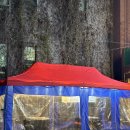 돼지한근 소한짝 | 여수연탄구이 맛집 '상록회관연탄구이 여수여서점' 가성비 메뉴들