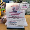 드림뮤지엄 | 경주 아이와 가볼만한곳 7살 아이 취향저격 경주 바니베어 뮤지엄 내돈내산 솔직 후기