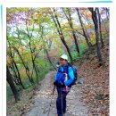 시월삼십일 이미지