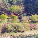 비금속물질 채취  제조  가공업 이미지