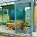 동일2리 이미지