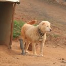 화성농장 이미지