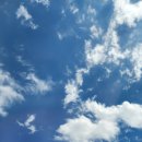 수원-1558 이미지