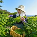 해오름농장 3 이미지